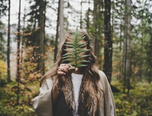 Een ode aan de natuur: Terug naar de basis in een drukke wereld